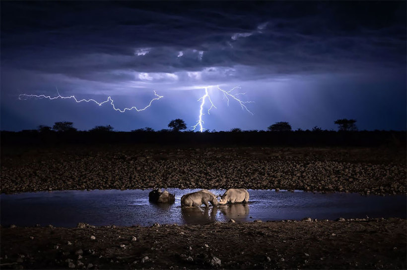 Великолепные работы победителей тревел-фотоконкурса National Geographic 2019