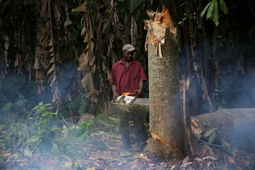Что происходит с теми регионами Африки, где вырубили тропический лес (фото)